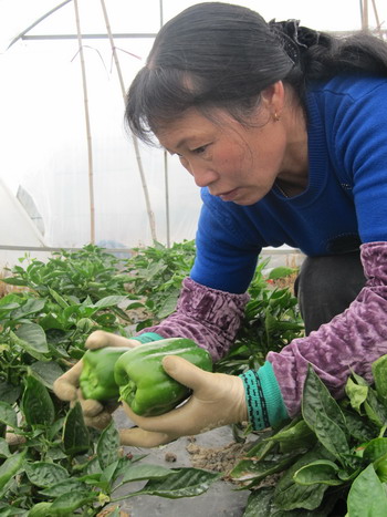 圖片關(guān)鍵詞 圖片關(guān)鍵詞