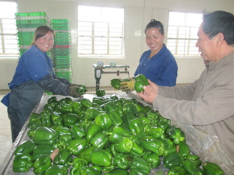 圖片關(guān)鍵詞 圖片關(guān)鍵詞