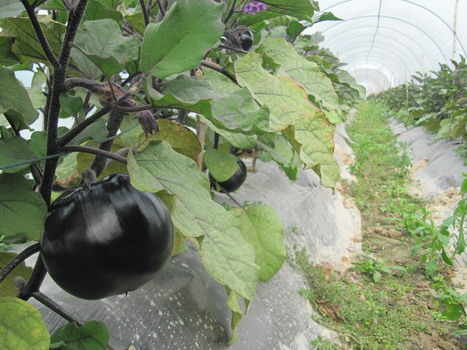 圖片關(guān)鍵詞 圖片關(guān)鍵詞