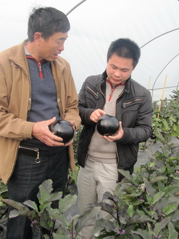 圖片關(guān)鍵詞 圖片關(guān)鍵詞