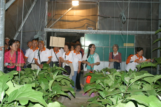 超大 超大現(xiàn)代農(nóng)業(yè) 超大現(xiàn)代農(nóng)業(yè)集團