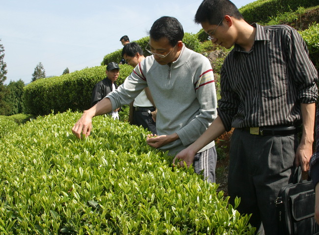 超大 超大現(xiàn)代農(nóng)業(yè) 超大現(xiàn)代農(nóng)業(yè)集團