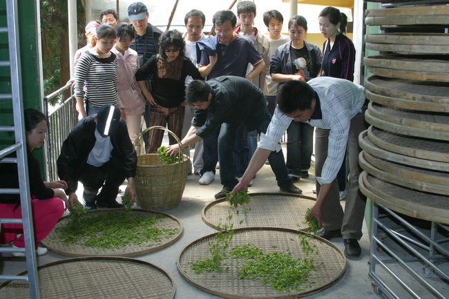 超大 超大現(xiàn)代農(nóng)業(yè) 超大現(xiàn)代農(nóng)業(yè)集團