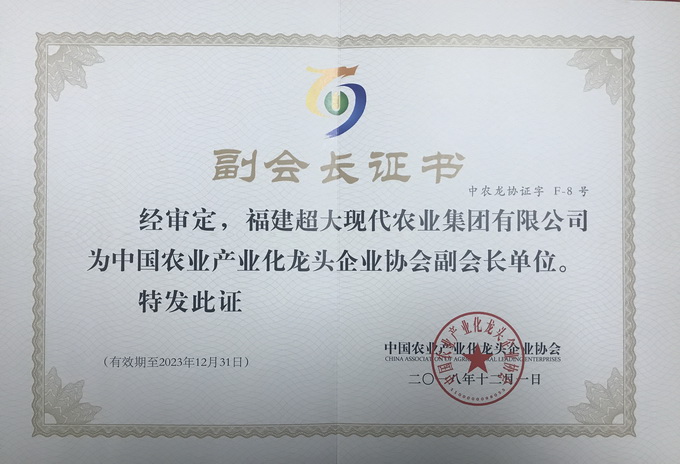 超大 超大現(xiàn)代農(nóng)業(yè) 超大現(xiàn)代農(nóng)業(yè)集團 超大 超大現(xiàn)代農(nóng)業(yè) 超大現(xiàn)代農(nóng)業(yè)集團