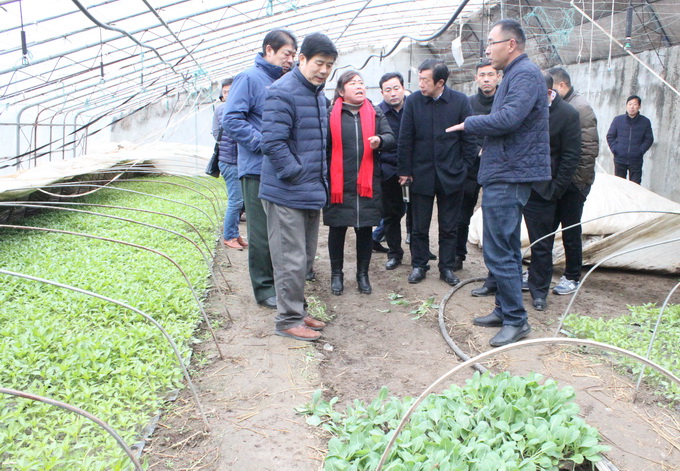 超大 超大現(xiàn)代農(nóng)業(yè) 超大現(xiàn)代農(nóng)業(yè)集團(tuán) 超大 超大現(xiàn)代農(nóng)業(yè) 超大現(xiàn)代農(nóng)業(yè)集團(tuán)