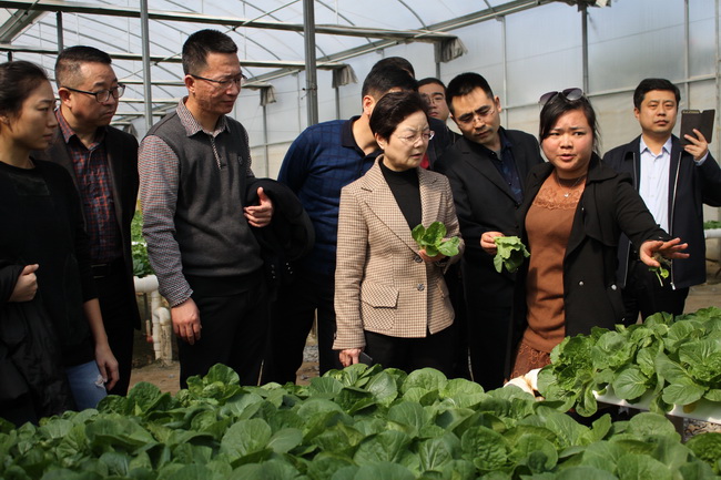 超大 超大現(xiàn)代農(nóng)業(yè) 超大現(xiàn)代農(nóng)業(yè)集團(tuán) 超大 超大現(xiàn)代農(nóng)業(yè) 超大現(xiàn)代農(nóng)業(yè)集團(tuán)