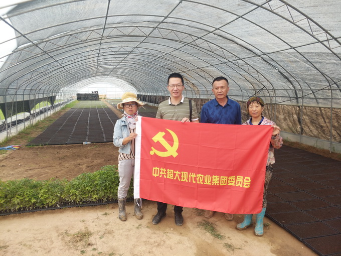 超大 超大現(xiàn)代農(nóng)業(yè) 超大現(xiàn)代農(nóng)業(yè)集團 超大 超大現(xiàn)代農(nóng)業(yè) 超大現(xiàn)代農(nóng)業(yè)集團