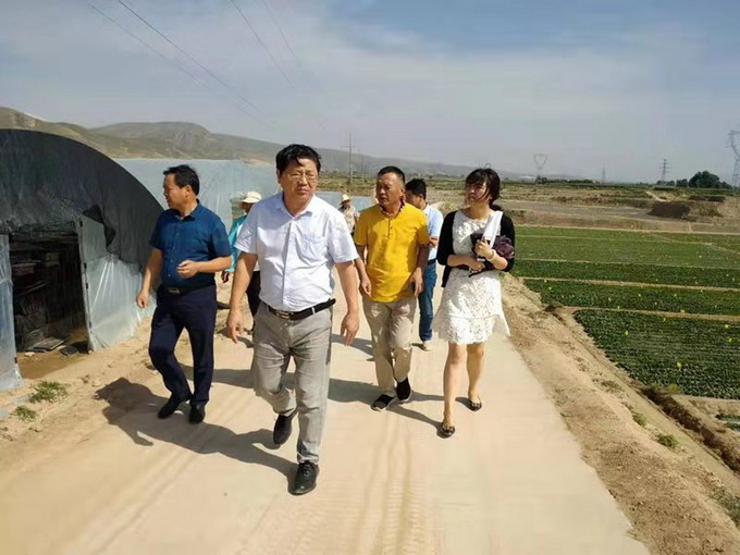 超大 超大現(xiàn)代農(nóng)業(yè) 超大現(xiàn)代農(nóng)業(yè)集團(tuán)