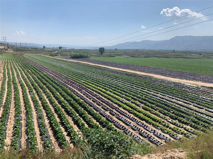 超大 超大現(xiàn)代農(nóng)業(yè) 超大現(xiàn)代農(nóng)業(yè)集團(tuán) 超大 超大現(xiàn)代農(nóng)業(yè) 超大現(xiàn)代農(nóng)業(yè)集團(tuán)