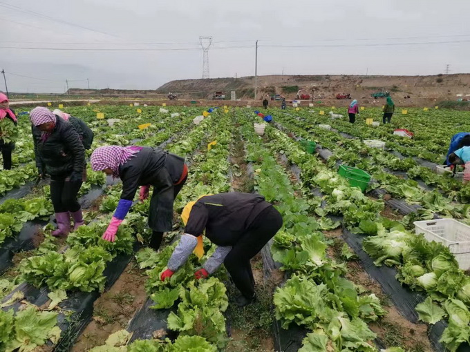 超大 超大現(xiàn)代農(nóng)業(yè) 超大現(xiàn)代農(nóng)業(yè)集團(tuán) 超大 超大現(xiàn)代農(nóng)業(yè) 超大現(xiàn)代農(nóng)業(yè)集團(tuán)