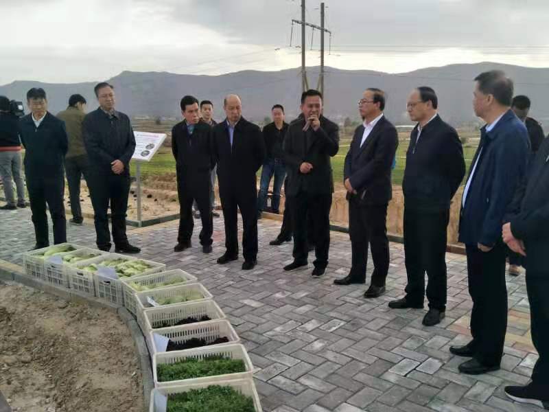 超大 超大現(xiàn)代農(nóng)業(yè) 超大現(xiàn)代農(nóng)業(yè)集團 超大 超大現(xiàn)代農(nóng)業(yè) 超大現(xiàn)代農(nóng)業(yè)集團