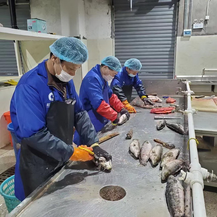 超大 超大現(xiàn)代農(nóng)業(yè) 超大現(xiàn)代農(nóng)業(yè)集團(tuán) 超大 超大現(xiàn)代農(nóng)業(yè) 超大現(xiàn)代農(nóng)業(yè)集團(tuán)