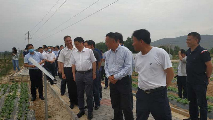 超大 超大現(xiàn)代農(nóng)業(yè) 超大現(xiàn)代農(nóng)業(yè)集團 超大 超大現(xiàn)代農(nóng)業(yè) 超大現(xiàn)代農(nóng)業(yè)集團