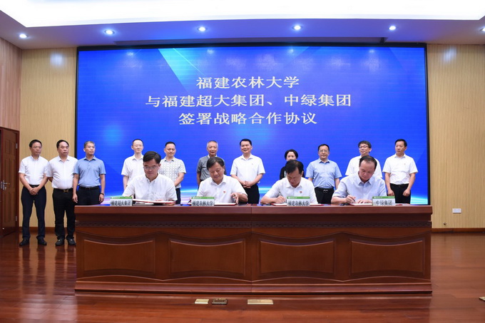 超大 超大現(xiàn)代農業(yè) 超大現(xiàn)代農業(yè)集團 超大 超大現(xiàn)代農業(yè) 超大現(xiàn)代農業(yè)集團