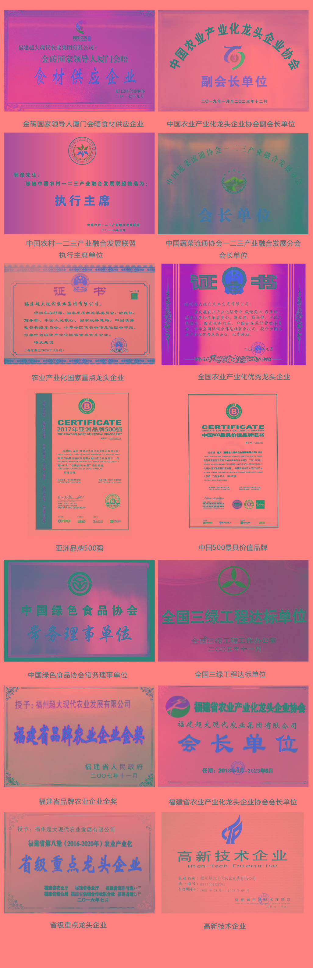 超大 超大現(xiàn)代農(nóng)業(yè) 超大現(xiàn)代農(nóng)業(yè)集團(tuán)